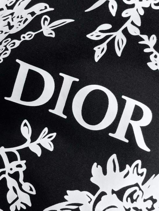 Dior T Shirts Short _SKUDiorL-4XLxetr24516394